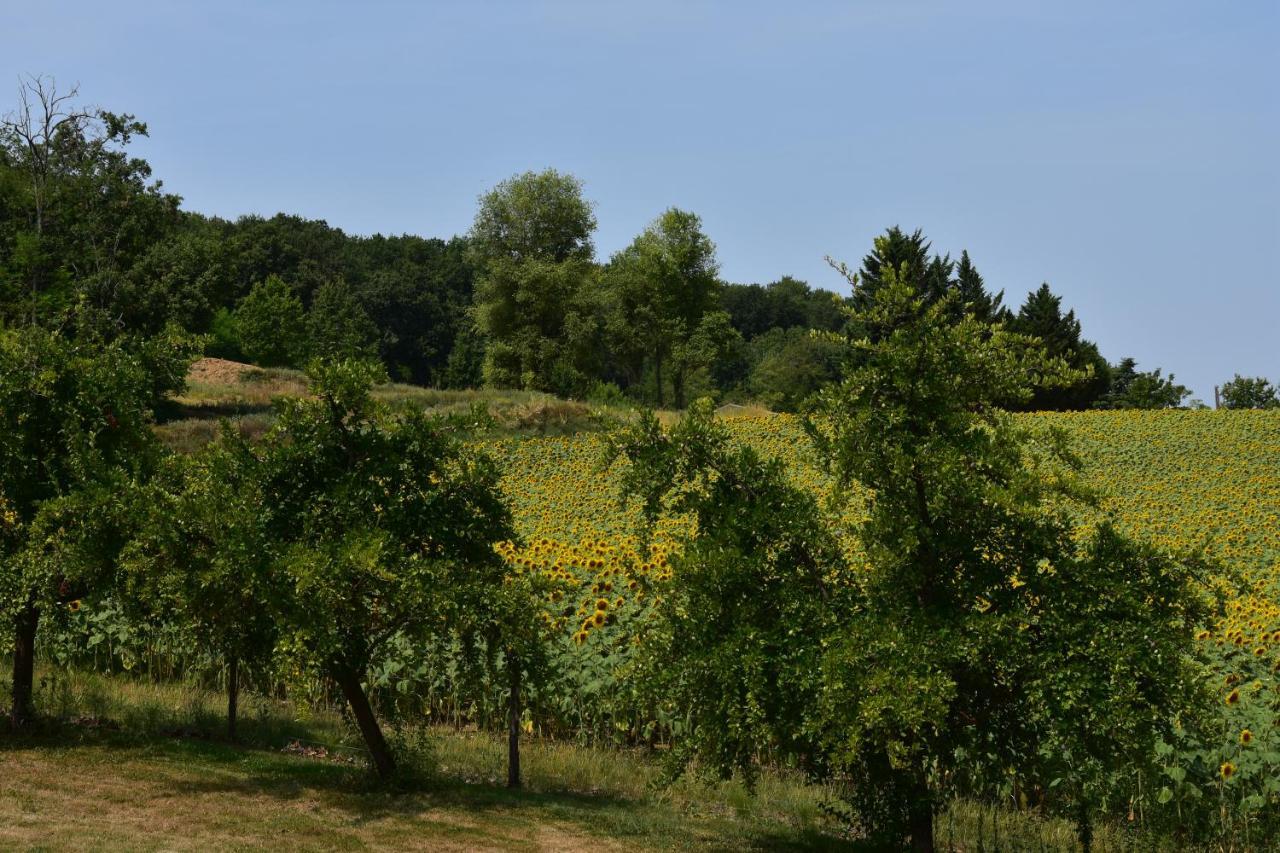 Domaine De Calbiac Panzió Dolmayrac Kültér fotó