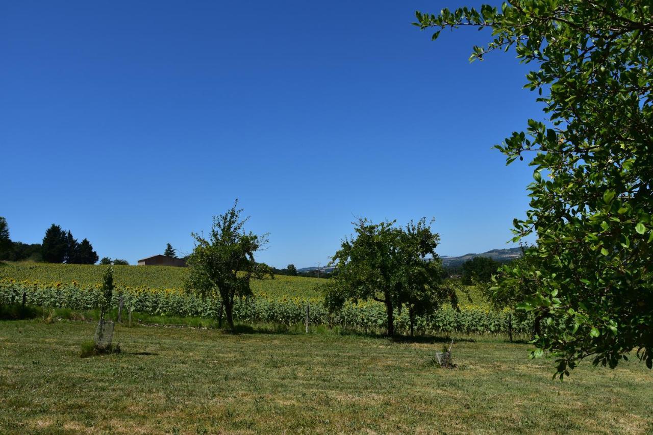 Domaine De Calbiac Panzió Dolmayrac Kültér fotó